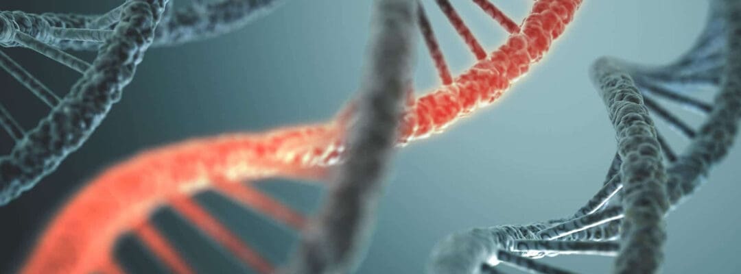 The Role of Genetics in Dental Health